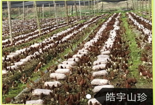 &#20048;&#40060;&#32593;&#39029;&#29256;&#22312;&#32447;&#30331;&#24405;&#45;&#108;&#101;&#121;&#117;&#40;&#20013;&#22269;&#41;