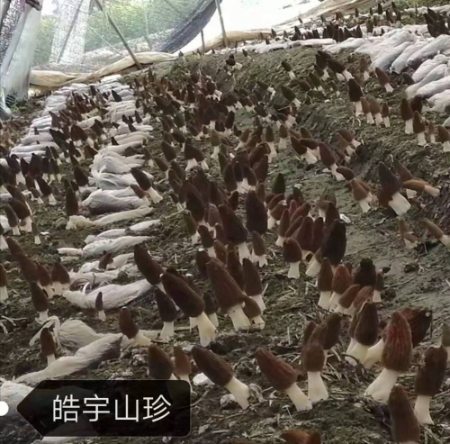 &#20048;&#40060;&#32593;&#39029;&#29256;&#22312;&#32447;&#30331;&#24405;&#45;&#108;&#101;&#121;&#117;&#40;&#20013;&#22269;&#41;