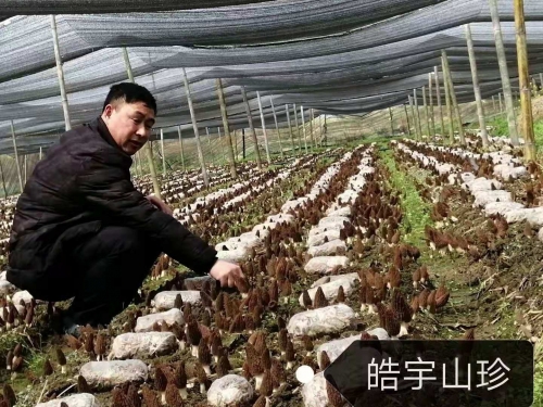 &#20048;&#40060;&#32593;&#39029;&#29256;&#22312;&#32447;&#30331;&#24405;&#45;&#108;&#101;&#121;&#117;&#40;&#20013;&#22269;&#41;