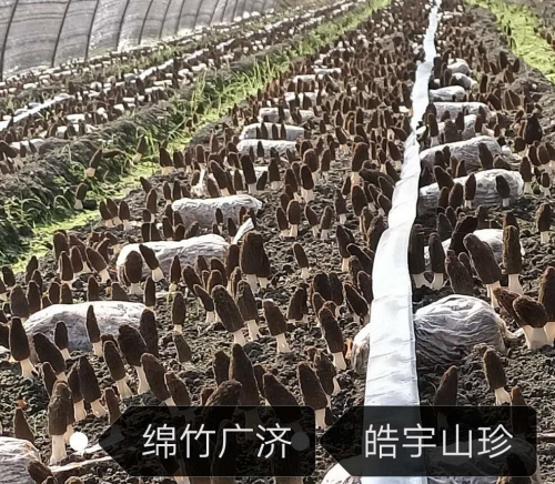 &#20048;&#40060;&#32593;&#39029;&#29256;&#22312;&#32447;&#30331;&#24405;&#45;&#108;&#101;&#121;&#117;&#40;&#20013;&#22269;&#41;