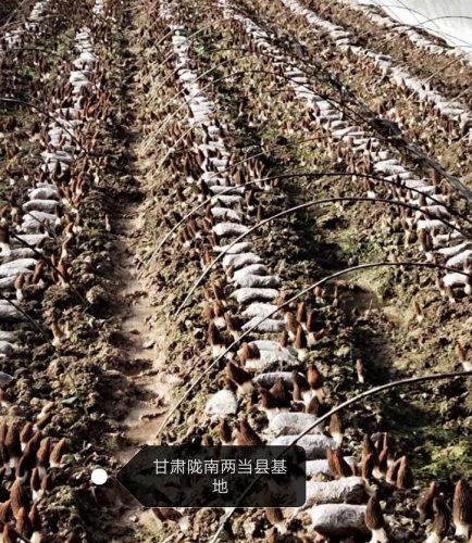 &#20048;&#40060;&#32593;&#39029;&#29256;&#22312;&#32447;&#30331;&#24405;&#45;&#108;&#101;&#121;&#117;&#40;&#20013;&#22269;&#41;