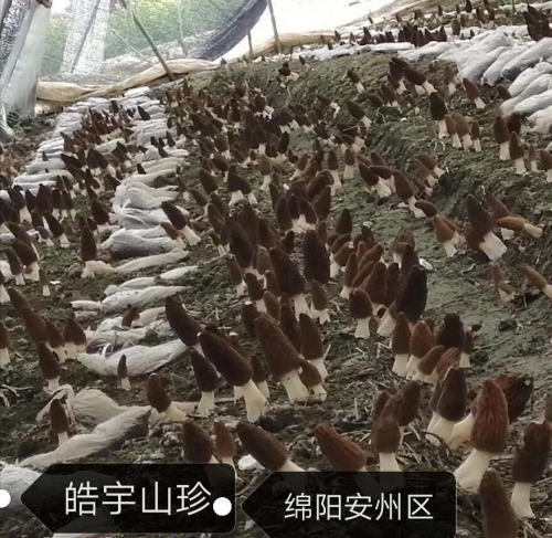 &#20048;&#40060;&#32593;&#39029;&#29256;&#22312;&#32447;&#30331;&#24405;&#45;&#108;&#101;&#121;&#117;&#40;&#20013;&#22269;&#41;