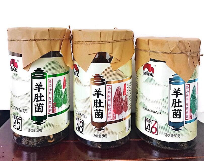 &#20048;&#40060;&#32593;&#39029;&#29256;&#22312;&#32447;&#30331;&#24405;&#45;&#108;&#101;&#121;&#117;&#40;&#20013;&#22269;&#41;