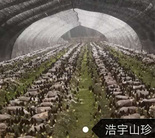 &#20048;&#40060;&#32593;&#39029;&#29256;&#22312;&#32447;&#30331;&#24405;&#45;&#108;&#101;&#121;&#117;&#40;&#20013;&#22269;&#41;