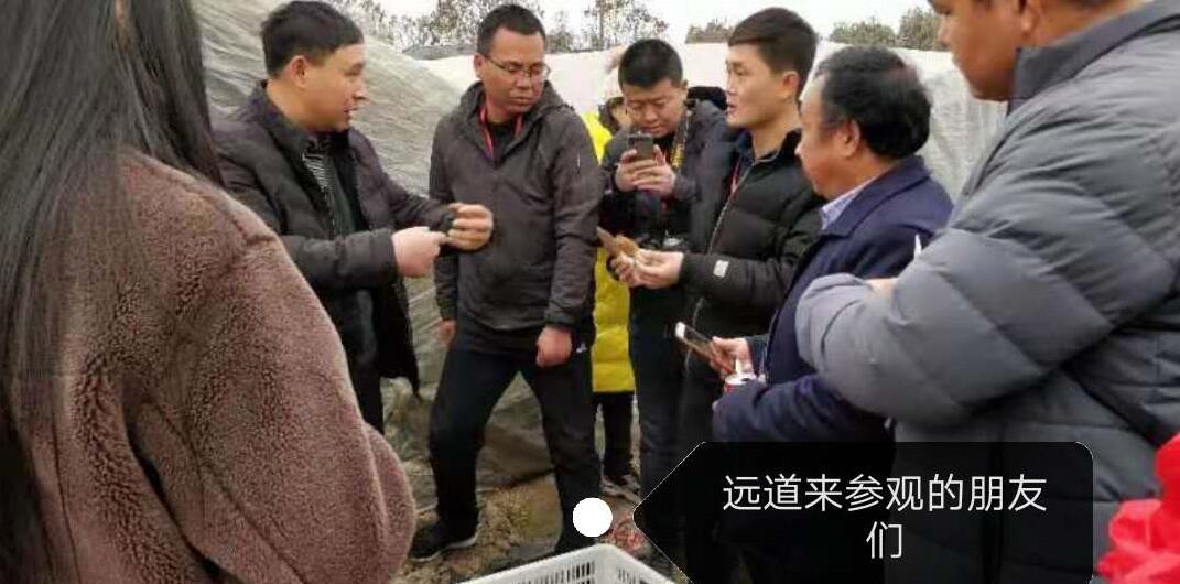 &#20048;&#40060;&#32593;&#39029;&#29256;&#22312;&#32447;&#30331;&#24405;&#45;&#108;&#101;&#121;&#117;&#40;&#20013;&#22269;&#41;